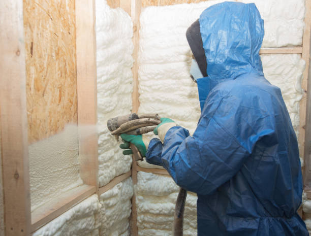 Best Insulation Air Sealing  in East Lake Orient Park, FL